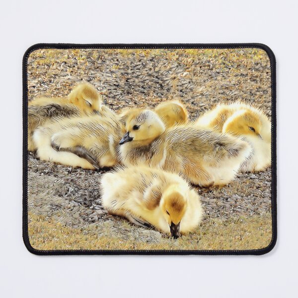 Item preview, Goslings-1 designed and sold by MaryLinH.