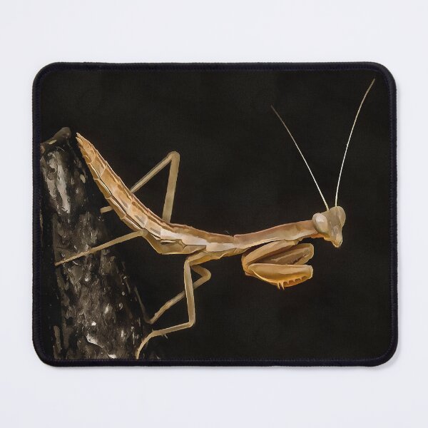 Item preview, Praying Mantis Cute And Creepy Insect Art designed and sold by taiche.