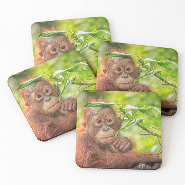 Item preview, Baby Orangutan designed and sold by TravellingFatmn.