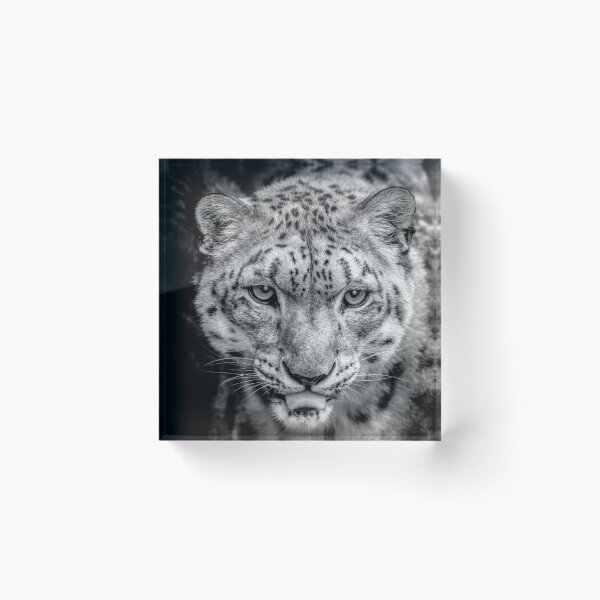 Item preview, Prowling Mono designed and sold by NaturallyArt.