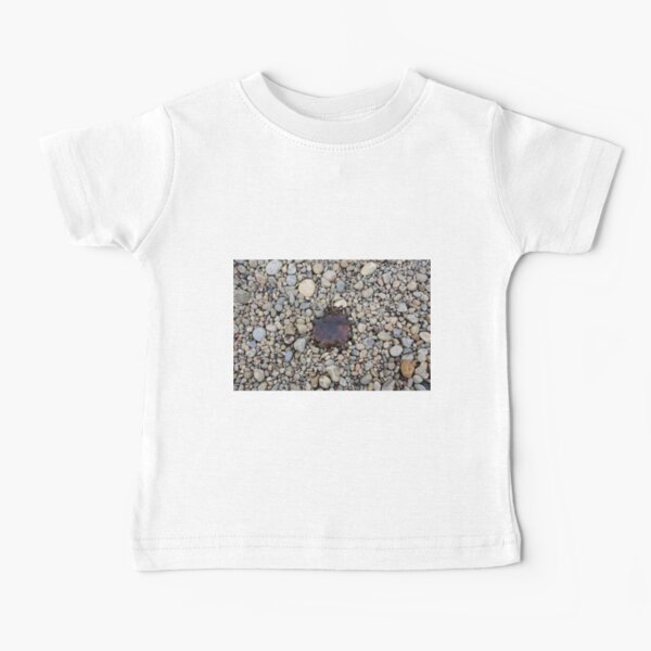 Jellyfish on a bed of pebbles Baby T-Shirt