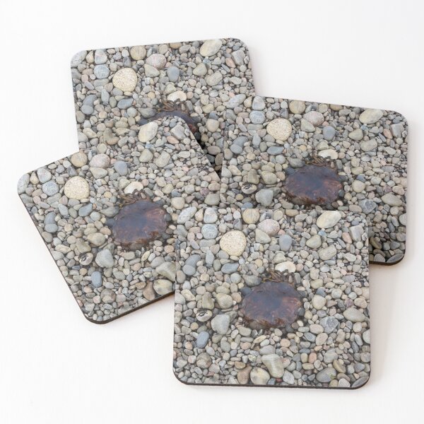 Jellyfish on a bed of pebbles Coasters (Set of 4)