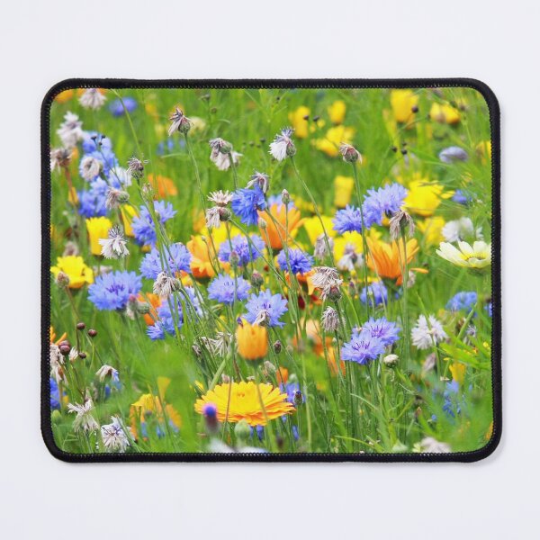 Item preview, Floral Nature Photography Field of Flowers Cornflowers Sunny Activewear designed and sold by Siela.