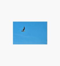 Alone in the sky Art Board