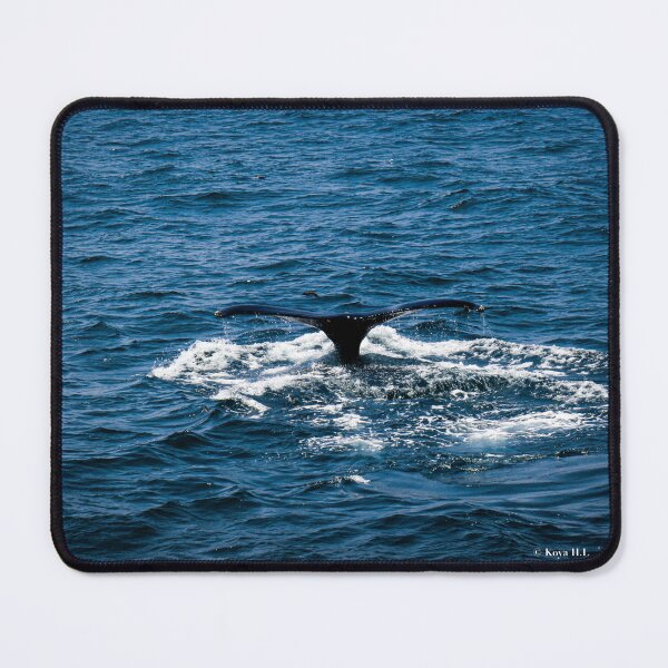 Item preview, whale tail designed and sold by KoyaHL.