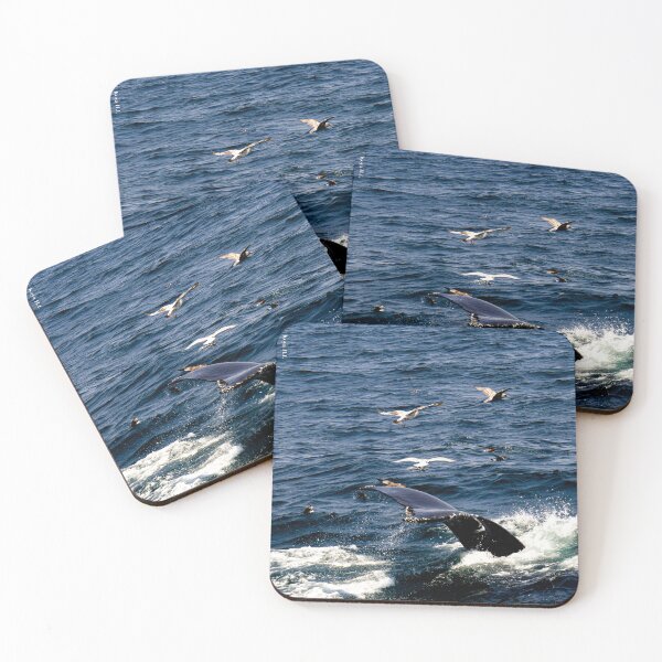 Item preview, whale tail designed and sold by KoyaHL.