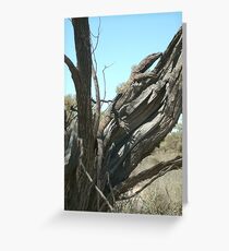 The Safety of a Tree Greeting Card