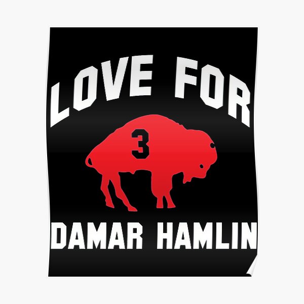 Buffalo Bills Damar Romeyelle Hamlin Did We Win Tee, Custom prints store