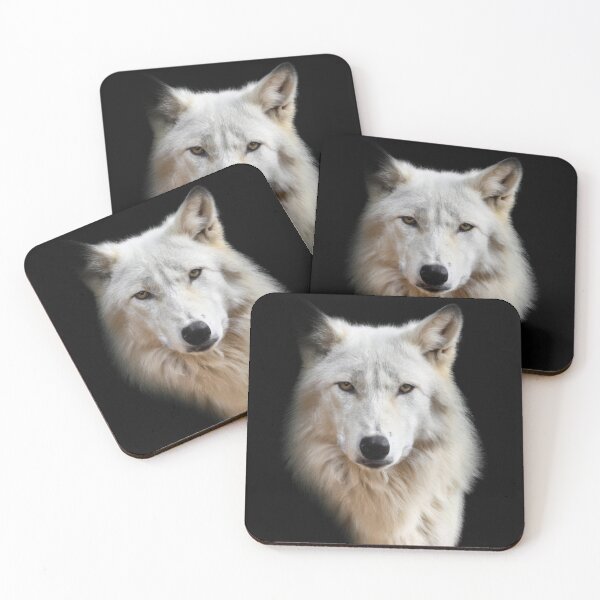 Item preview, Portrait of an white wolf on a black background, professional photo designed and sold by T-Shirt-Group.
