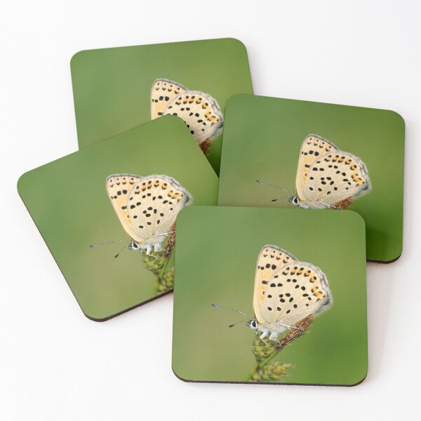 Item preview, Lycaena tityrus designed and sold by iago rodriguez dopico.