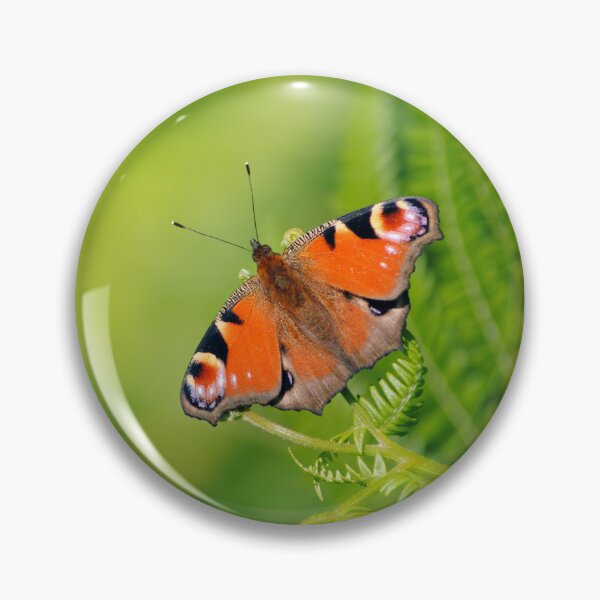 Item preview, Aglais io designed and sold by iago rodriguez dopico.