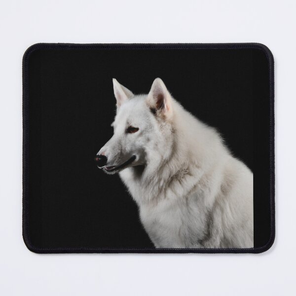 Item preview, Portrait of an white wolf on a black background, professional photo - 3/4 designed and sold by T-Shirt-Group.