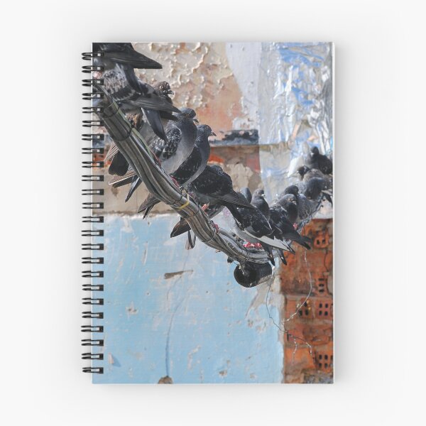 Item preview, Columbidae  designed and sold by iago rodriguez dopico.