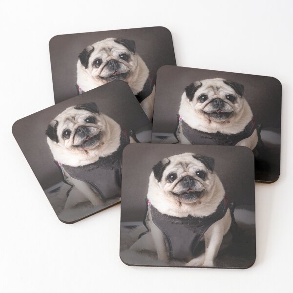 Item preview, Doguillo designed and sold by Margaret Metcalfe.