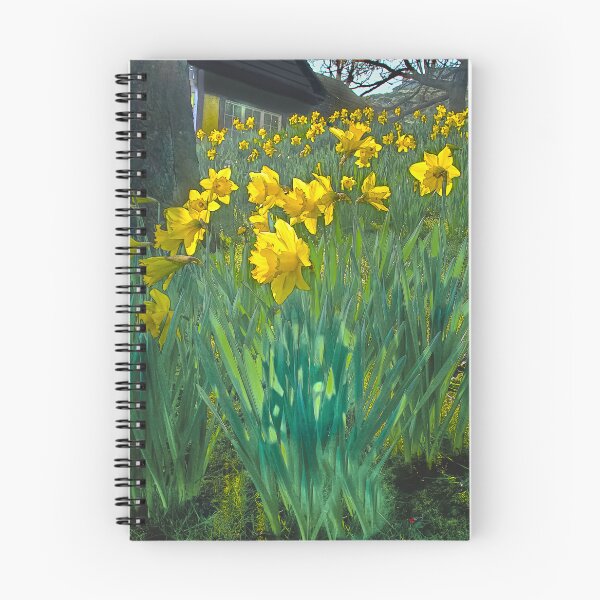 Item preview, Scarborough Peasholm Park designed and sold by Alisonchambers2.