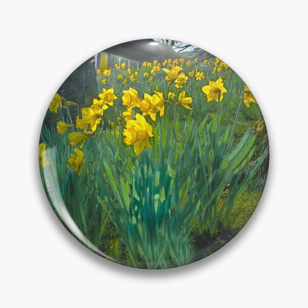 Item preview, Scarborough Peasholm Park designed and sold by Alisonchambers2.