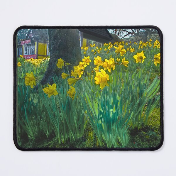 Item preview, Scarborough Peasholm Park designed and sold by Alisonchambers2.