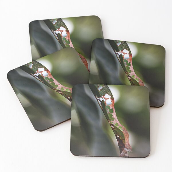 Item preview, Macro of a Mango Leaf with Bokeh designed and sold by Huskyyy Designs.