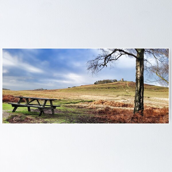 Item preview, #330 Landscape Photo Of Bradgate Deer Country Park in Leicestershire. designed and sold by phutball.