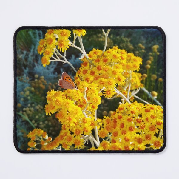 Item preview, A painted lady on small yellow flowers designed and sold by helenkaiy.