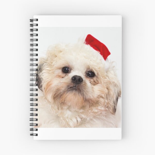 Item preview, A Teddy the Zuchon Christmas designed and sold by Studio 4 Photo.