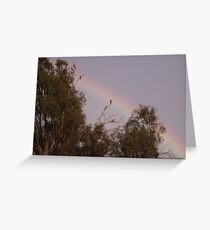 Bunch of galahs! Greeting Card