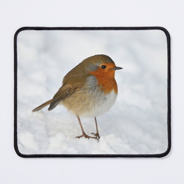 Item preview, Robin in the Snow designed and sold by ClaireChown.