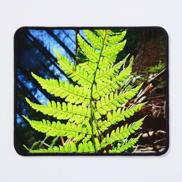 Item preview, Lone Fern, Somerset designed and sold by JonDelorme.
