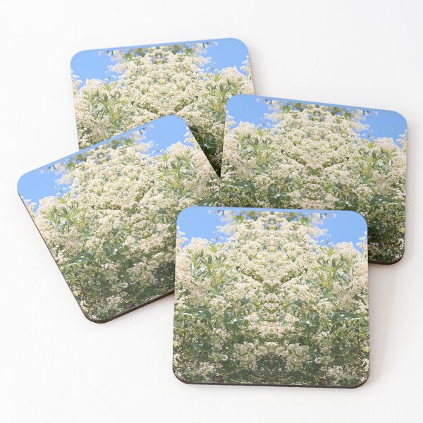 Item preview, Wonderful White Beaut Blossoms designed and sold by KazM.