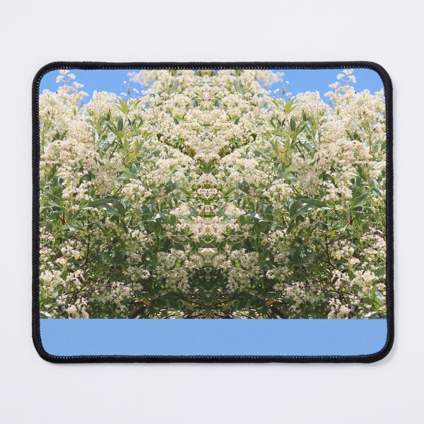 Item preview, Wonderful White Beaut Blossoms designed and sold by KazM.