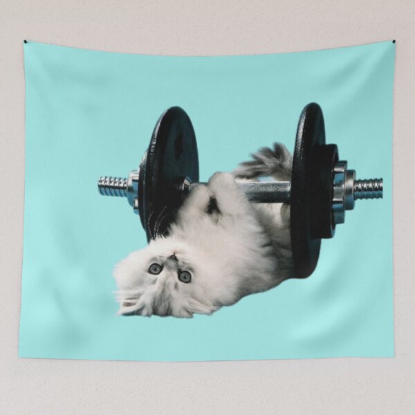 Item preview, Kitty in the gym designed and sold by zeljana0504.