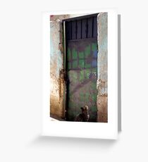 Jerusalem gateway Cat 01 Greeting Card