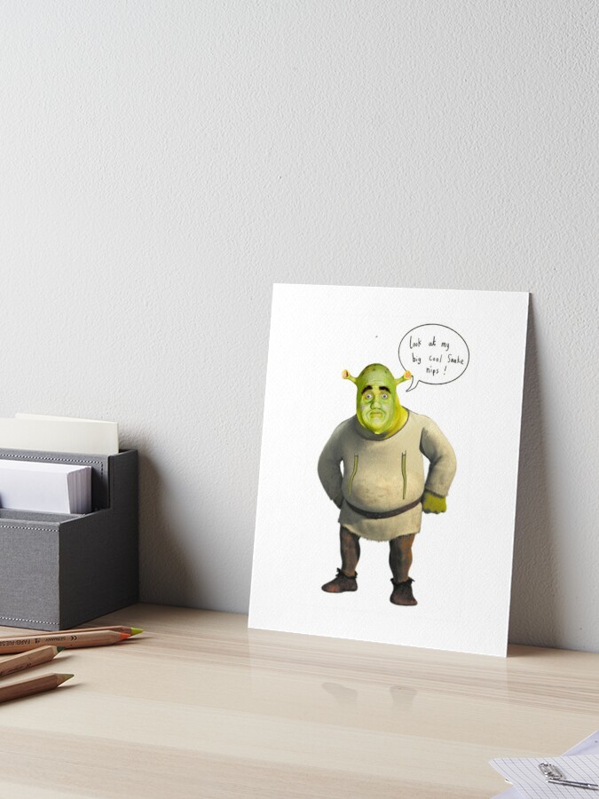 Shrek T-Pose  Photographic Print for Sale by KikimoraFasbn