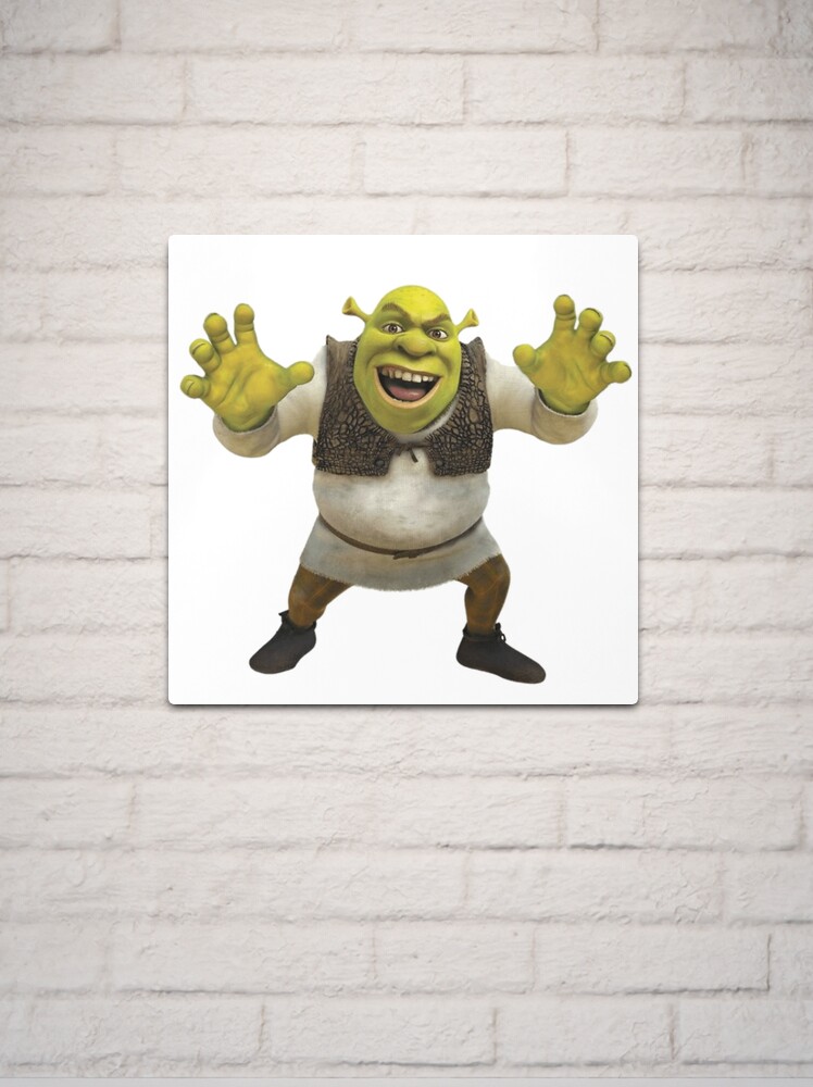 Warrior Cat memes: Shrek Edition!
