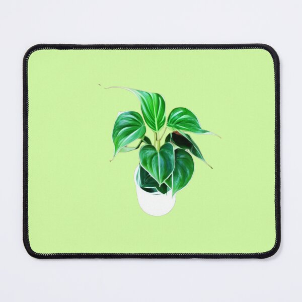Item preview, Philodendron Houseplant Unique & Eye-Catching. Great Gift Idea. designed and sold by Bowbubble.