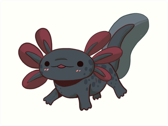 Black Axolotl Art