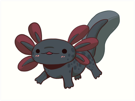 black axolotl squishmallow
