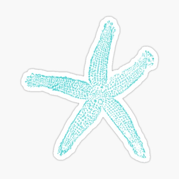 Starfish Sticker
