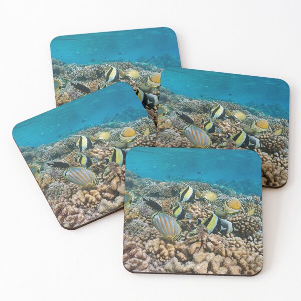 Item preview, Coral reef with tropical fish underwater Pacific ocean French Polynesia designed and sold by Seaphotoart.