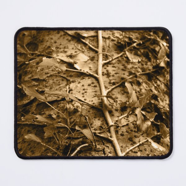 Item preview, Climbing Ivy Glenveagh National Park county Donegal Ireland Tint designed and sold by eddiebarronshop.