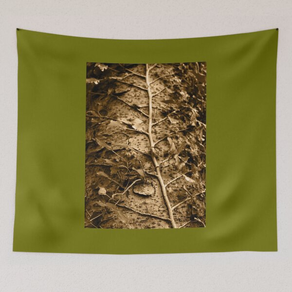 Item preview, Climbing Ivy Glenveagh National Park county Donegal Ireland Tint designed and sold by eddiebarronshop.