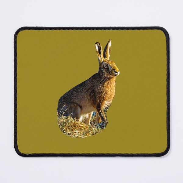 Item preview, Alert Hare designed and sold by Dalyndigital Photography.