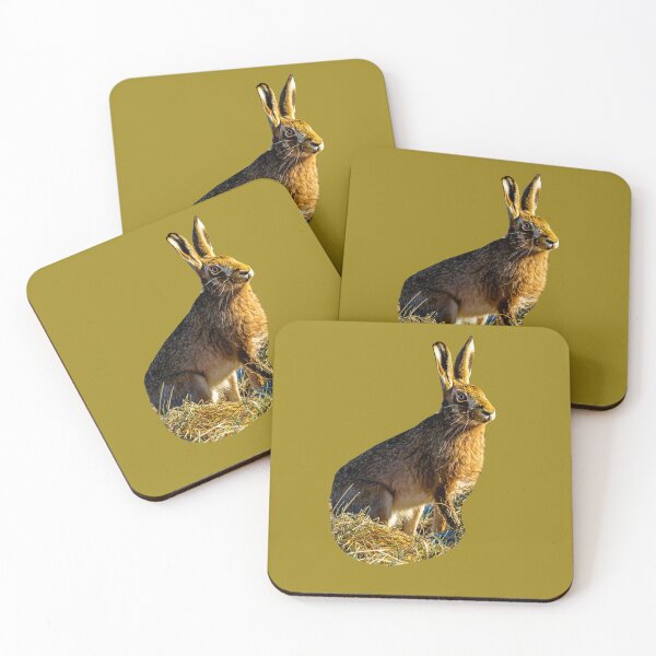 Item preview, Alert Hare designed and sold by Dalyndigital Photography.