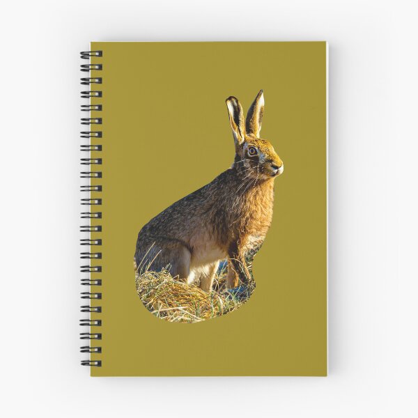 Item preview, Alert Hare designed and sold by Dalyndigital Photography.