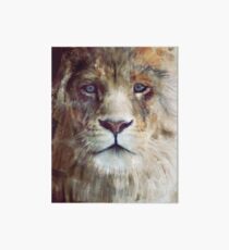 Lion // Majesty Art Board