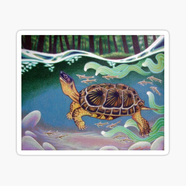 Wood Turtle Color Pencil Artwork Sticker