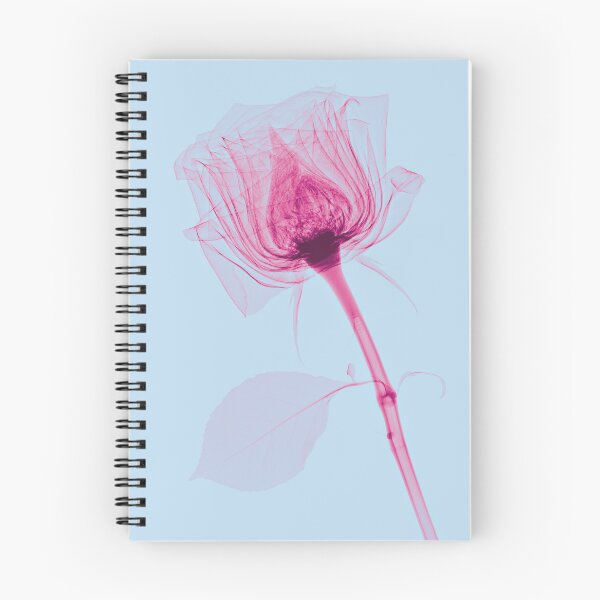 Item preview, Flower in light blue and pink, rose designed and sold by Lanuma.