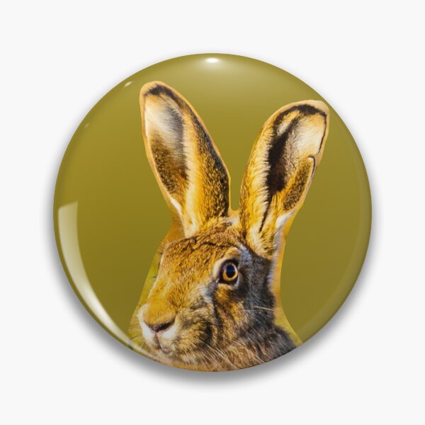 Item preview,  Alert Hare watching you designed and sold by Dalyndigital Photography.