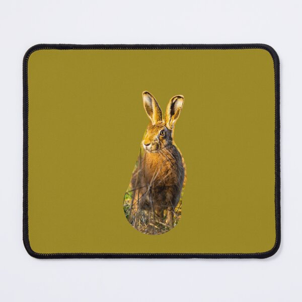 Item preview,  Alert Hare watching you designed and sold by Dalyndigital Photography.