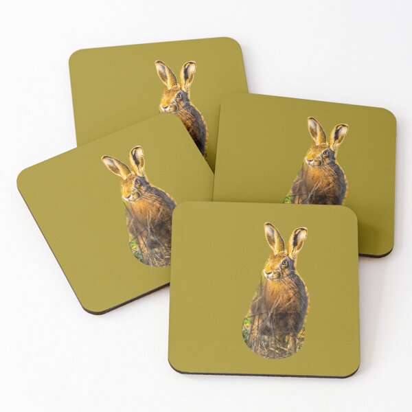Item preview,  Alert Hare watching you designed and sold by Dalyndigital Photography.